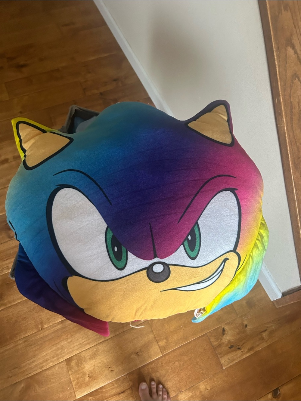 Sonic Rainbow Plush Pillow - Multicolor